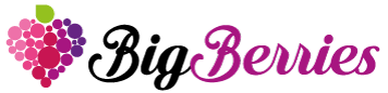 BigBerries | Portuguese Flavours
